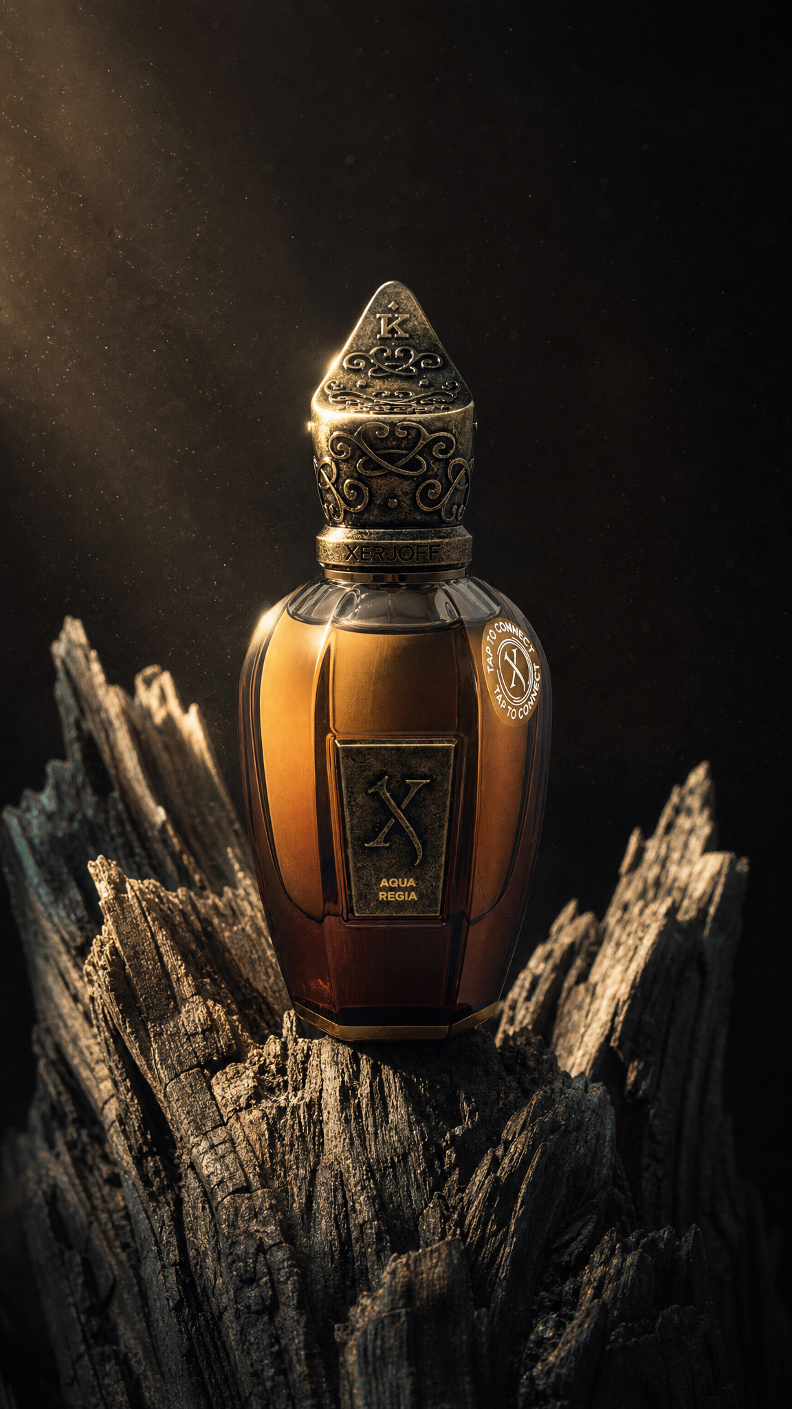 Xerjoff Aqua Regia